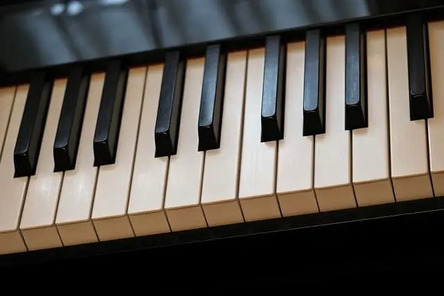 Guide d'Achat : Pianos Anciens pour Tous les Profils