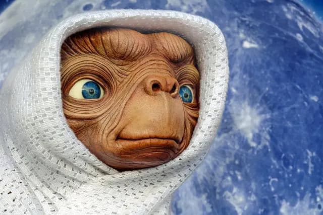 Meilleurs coupons pour économiser sur votre voyage solo